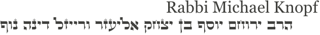 Rabbi Michael Knopf
